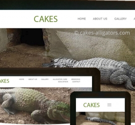 Screenshots of CAKES Alligator's new website