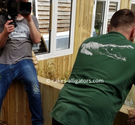 TV crew filming introduction of male and female Chinese Alligators