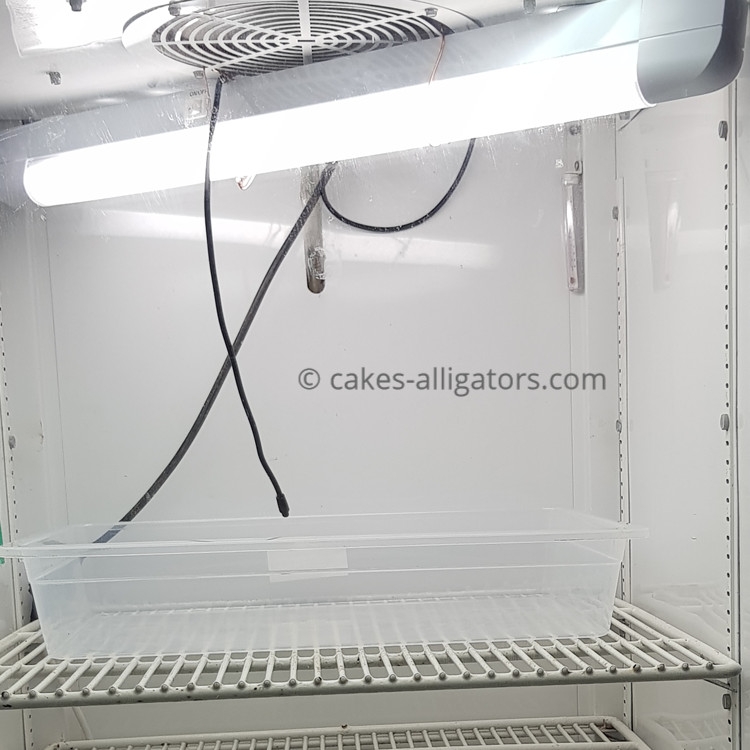 Home built incubator for our Chinese Alligator clutches